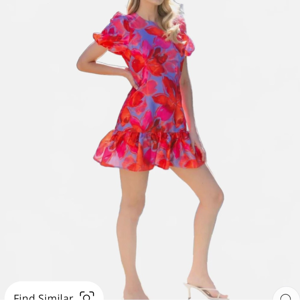 NWT-Hutch Pink and Red Floral Mini Dress